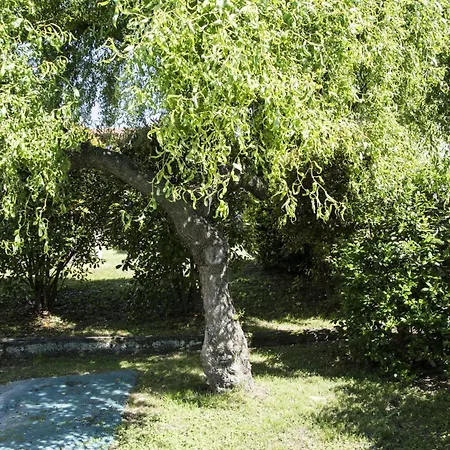 Daire La Piccola Casa *